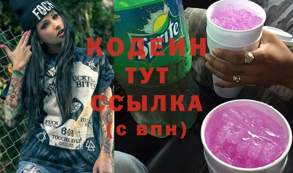 ГАЛЛЮЦИНОГЕННЫЕ ГРИБЫ Гусь-Хрустальный