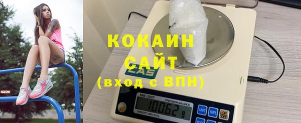 ГАЛЛЮЦИНОГЕННЫЕ ГРИБЫ Гусь-Хрустальный