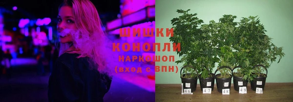 ГАЛЛЮЦИНОГЕННЫЕ ГРИБЫ Гусь-Хрустальный