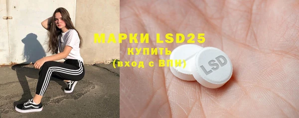 ГАЛЛЮЦИНОГЕННЫЕ ГРИБЫ Гусь-Хрустальный