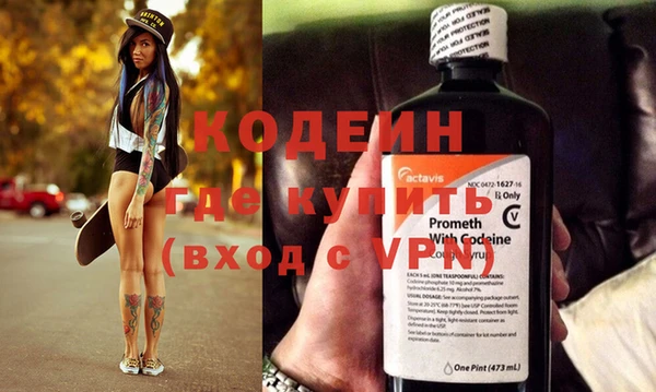 ГАЛЛЮЦИНОГЕННЫЕ ГРИБЫ Гусь-Хрустальный
