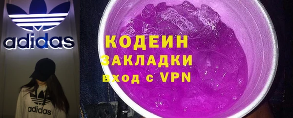 ГАЛЛЮЦИНОГЕННЫЕ ГРИБЫ Гусь-Хрустальный