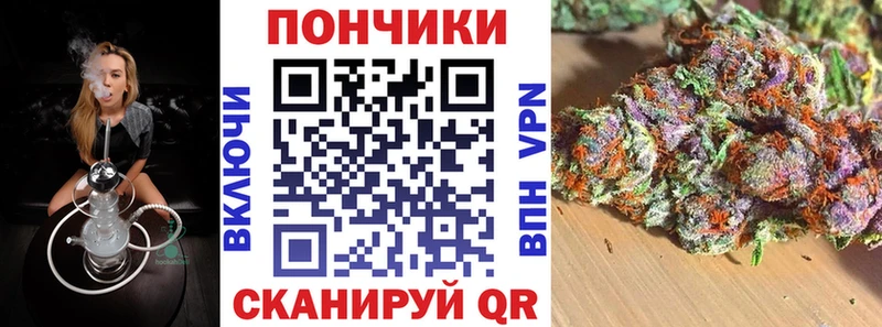 МАРИХУАНА план  сколько стоит  Барнаул 